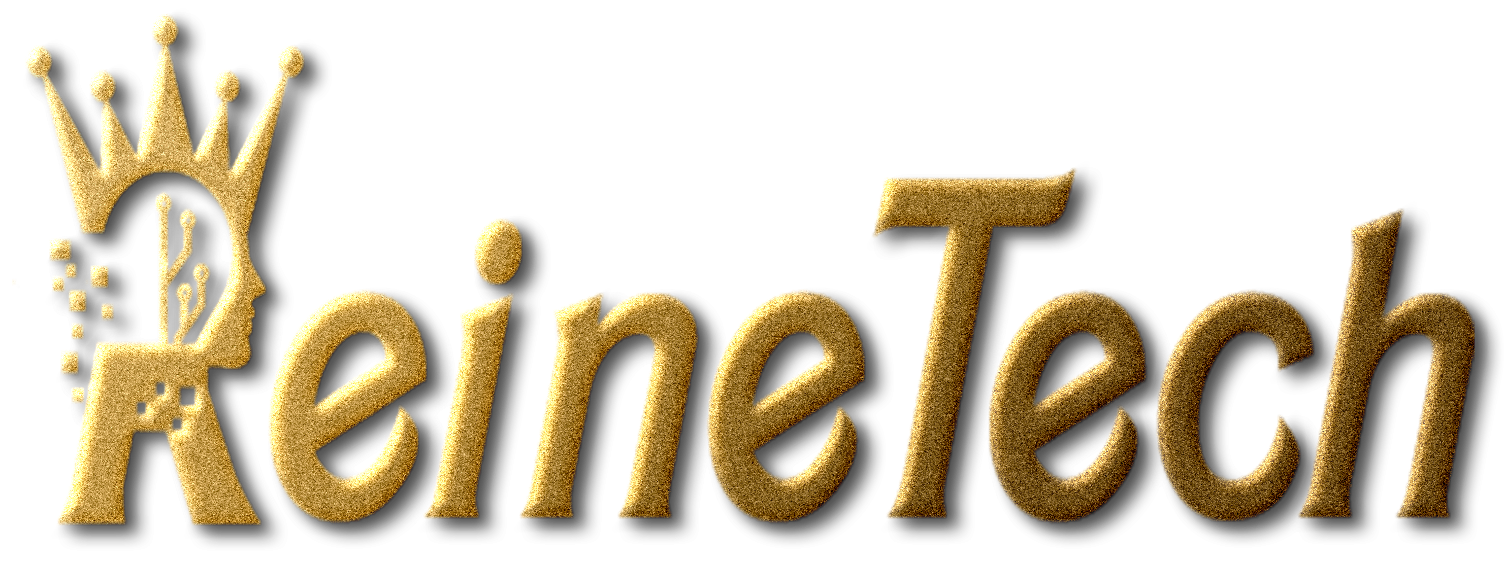 new.reinetech.com